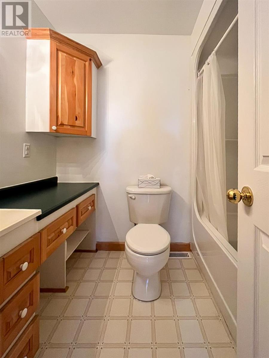 157 East Balfour St, Sault Ste. Marie, Ontario  P6C 1X7 - Photo 21 - SM252940