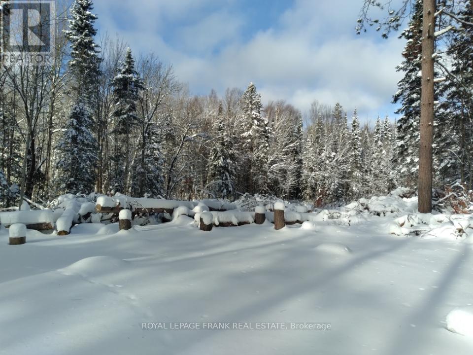 1106 Homestead Road, Highlands East (Cardiff Ward), Ontario  K0L 1C0 - Photo 6 - X12630876