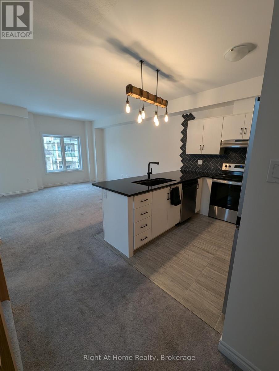 17 Roseberry Lane, Kitchener, Ontario  N2B 0A9 - Photo 4 - X12630900