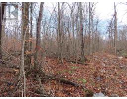 Lots 18, 19 Concession S, Hilton Twp, Ontario