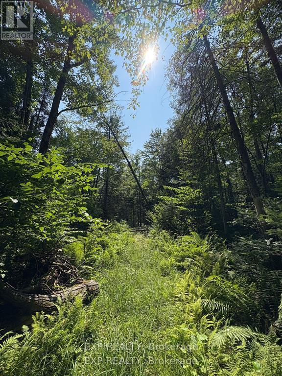 0 Lot 1 Conc. 2 Part 4 Boundary Road, Alfred And Plantagenet, Ontario K0B 1L0 - Photo 10 - X12631016