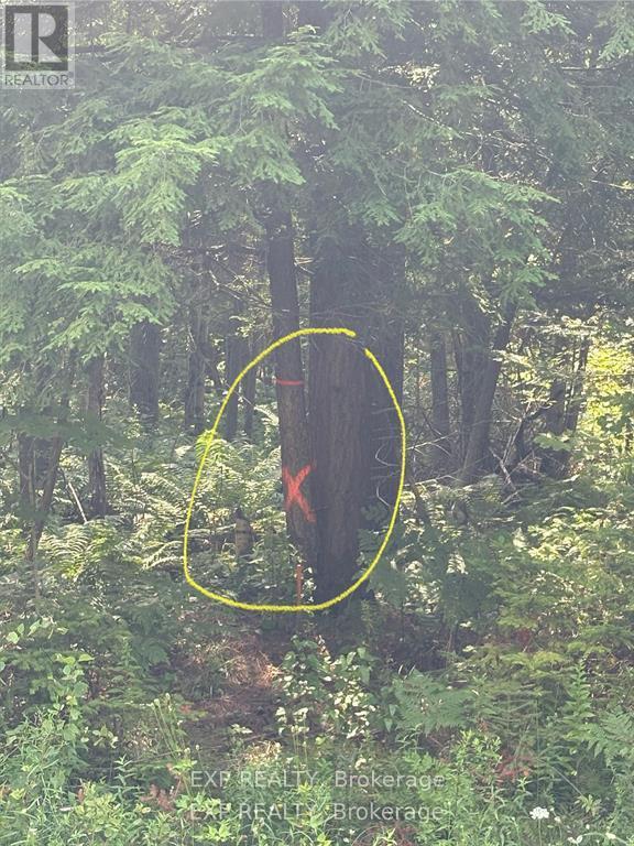 0 Lot 1 Conc. 2 Part 4 Boundary Road, Alfred And Plantagenet, Ontario K0B 1L0 - Photo 12 - X12631016