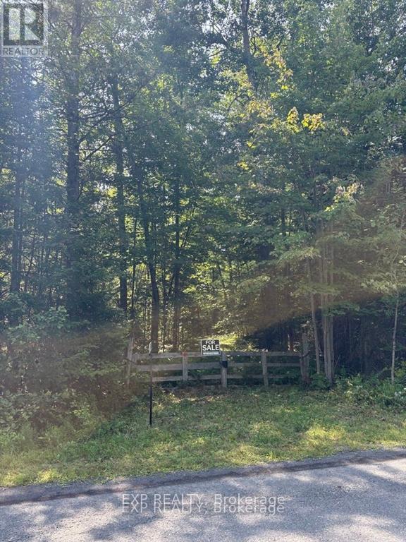 0 Lot 1 Conc. 2 Part 4 Boundary Road, Alfred And Plantagenet, Ontario K0B 1L0 - Photo 2 - X12631016