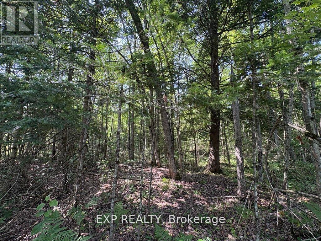 0 Lot 1 Conc. 2 Part 4 Boundary Road, Alfred And Plantagenet, Ontario K0B 1L0 - Photo 3 - X12631016