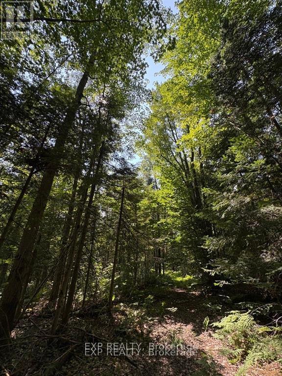 0 Lot 1 Conc. 2 Part 4 Boundary Road, Alfred And Plantagenet, Ontario K0B 1L0 - Photo 4 - X12631016