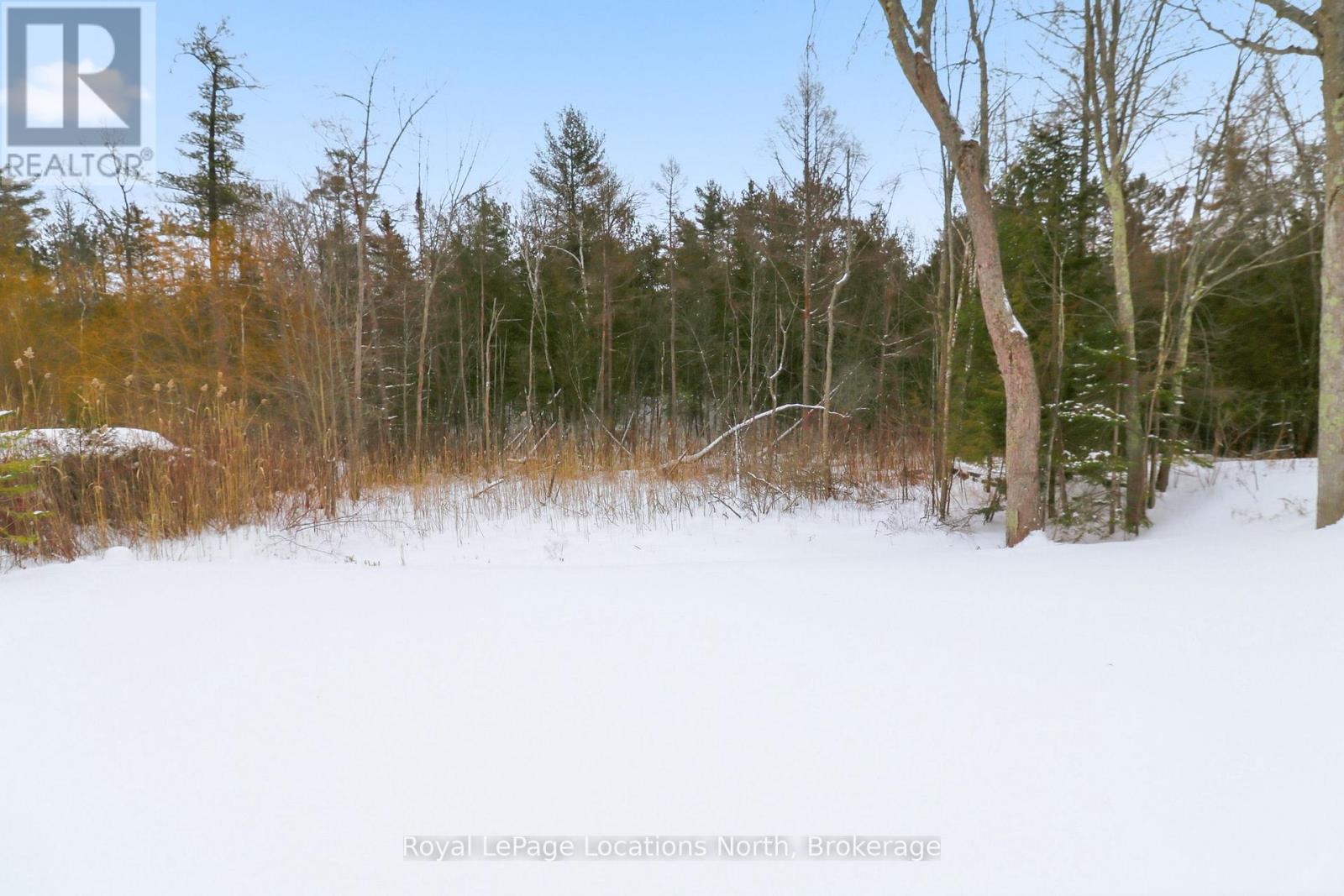118 Valerie Crescent, Wasaga Beach, Ontario  L9Z 2P8 - Photo 50 - S12631176