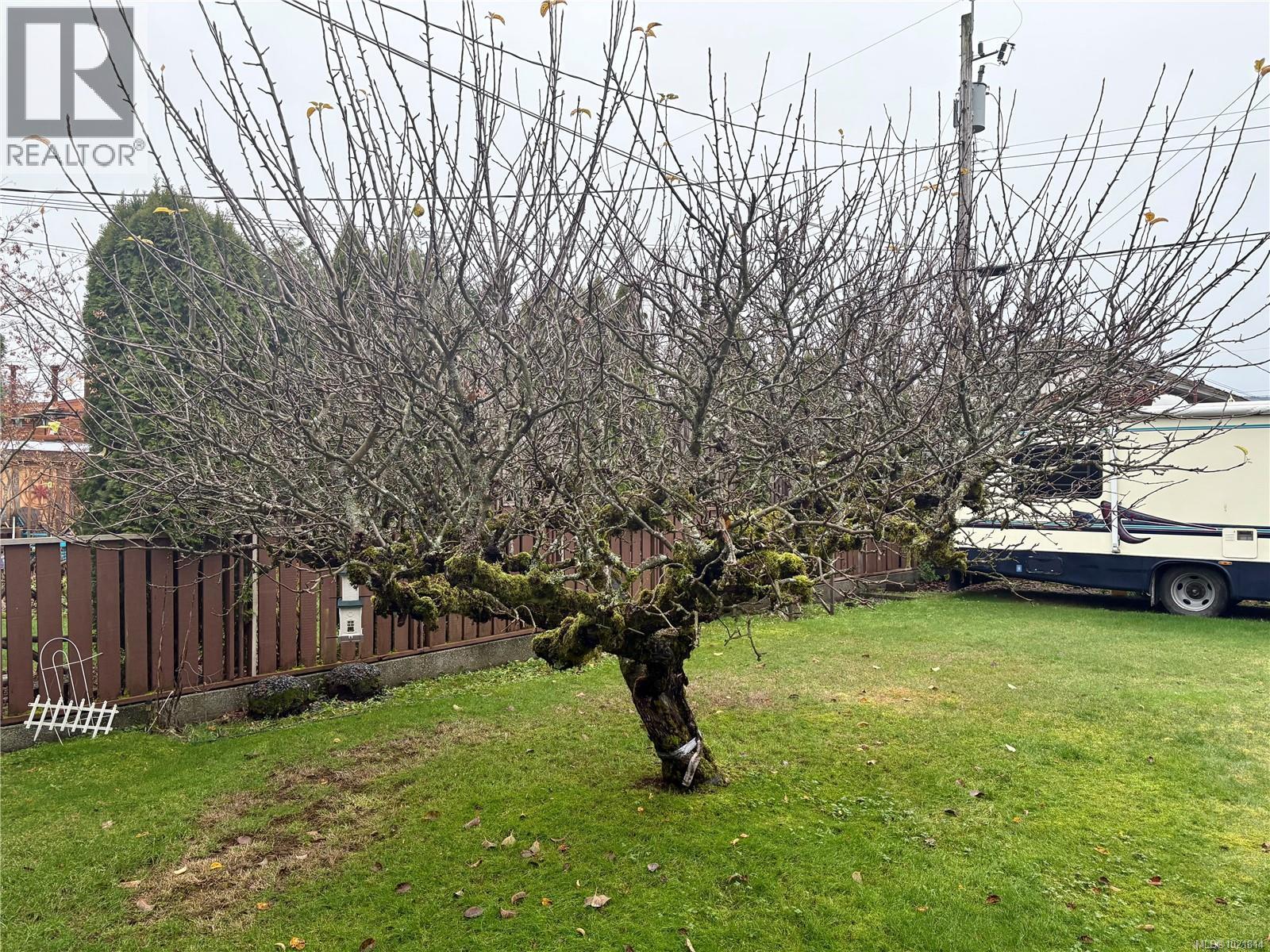 2738 14th Ave, Port Alberni, British Columbia Y9Y 2K7 - Photo 54 - 1021814