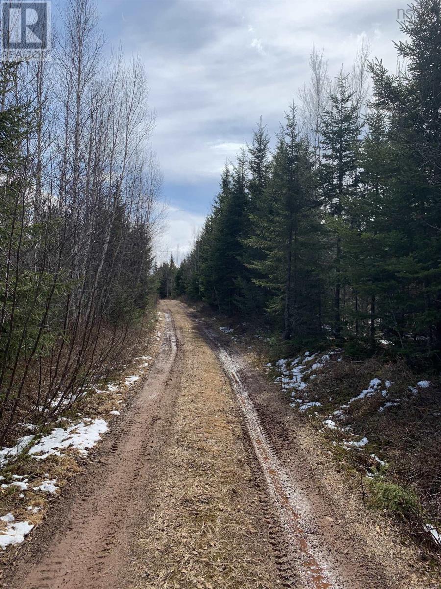 Lot Hunter West Road, Wentworth Valley Preserve, Wentworth Valley, Nova Scotia B0M 1Z0 - Photo 2 - 202507664