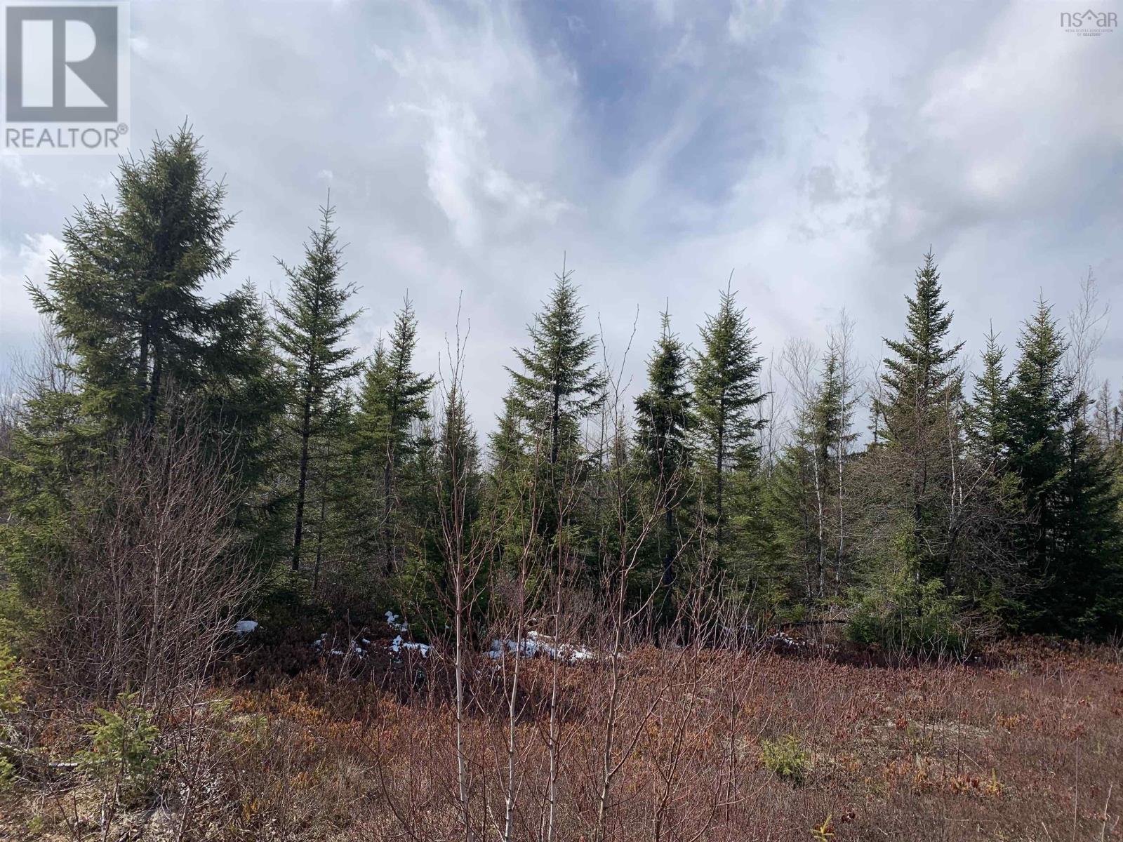 Lot Hunter West Road, Wentworth Valley Preserve, Wentworth Valley, Nova Scotia B0M 1Z0 - Photo 5 - 202507664