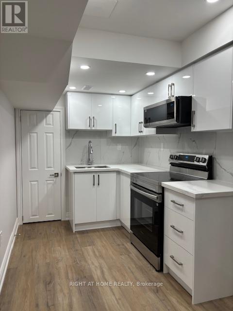 Basement Apartment - 34 Reigate Avenue, Whitby, Ontario  L1P 0R1 - Photo 7 - E12631264