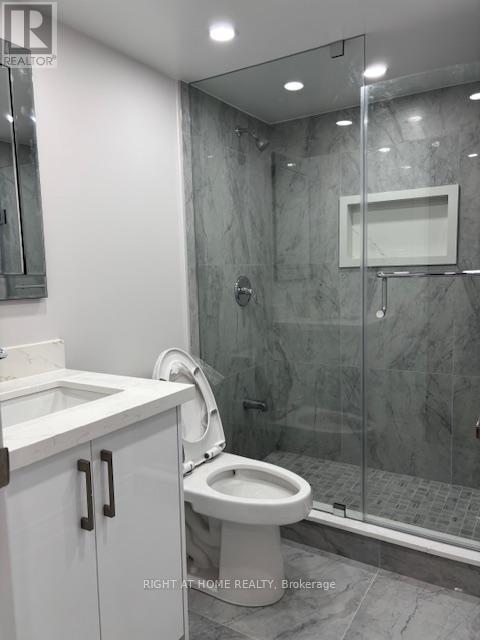 Basement Apartment - 34 Reigate Avenue, Whitby, Ontario  L1P 0R1 - Photo 9 - E12631264