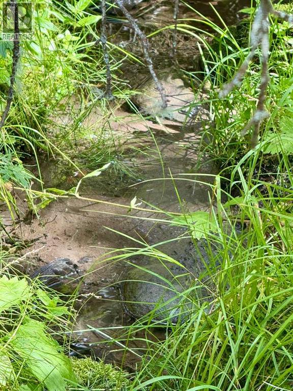 30108 Range Road 55, Rural Mountain View County, Alberta  T0M 2E0 - Photo 48 - A2237789