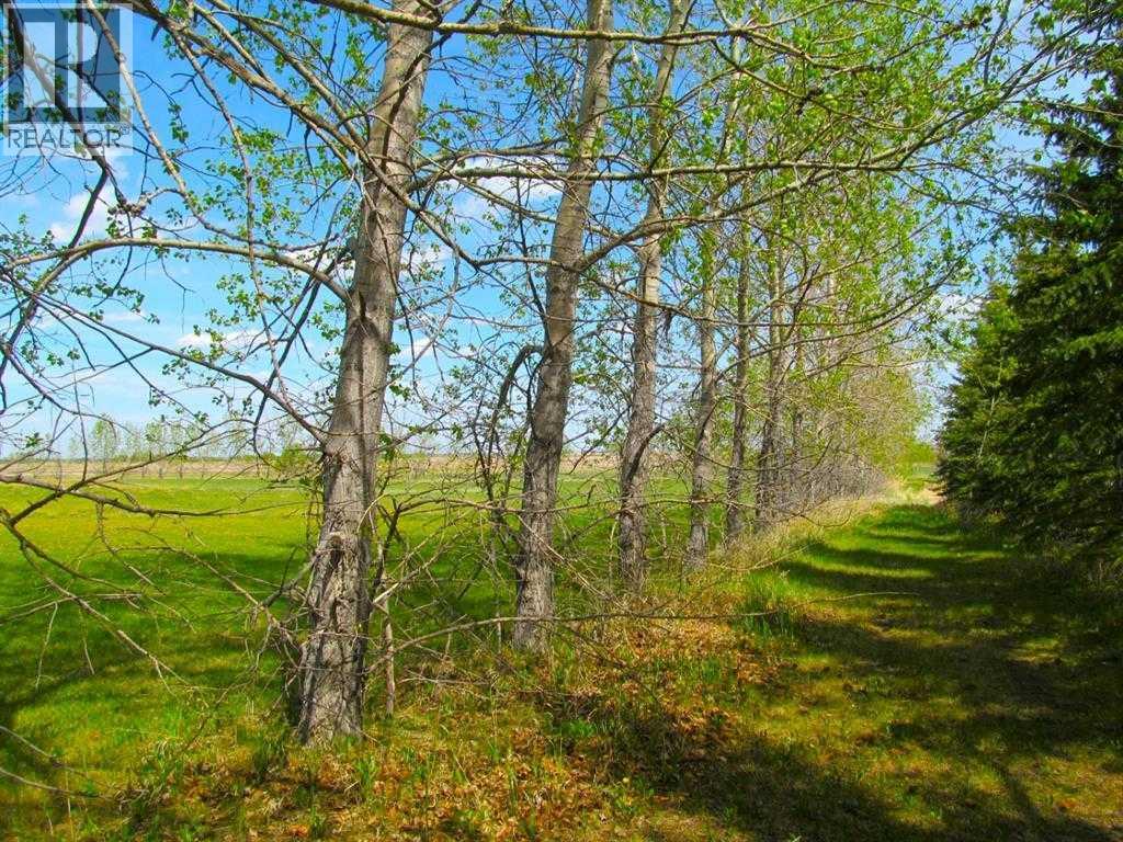 275182 Glenmore Trail, Rural Rocky View County, Alberta T2P 2G6 - Photo 9 - A2273211