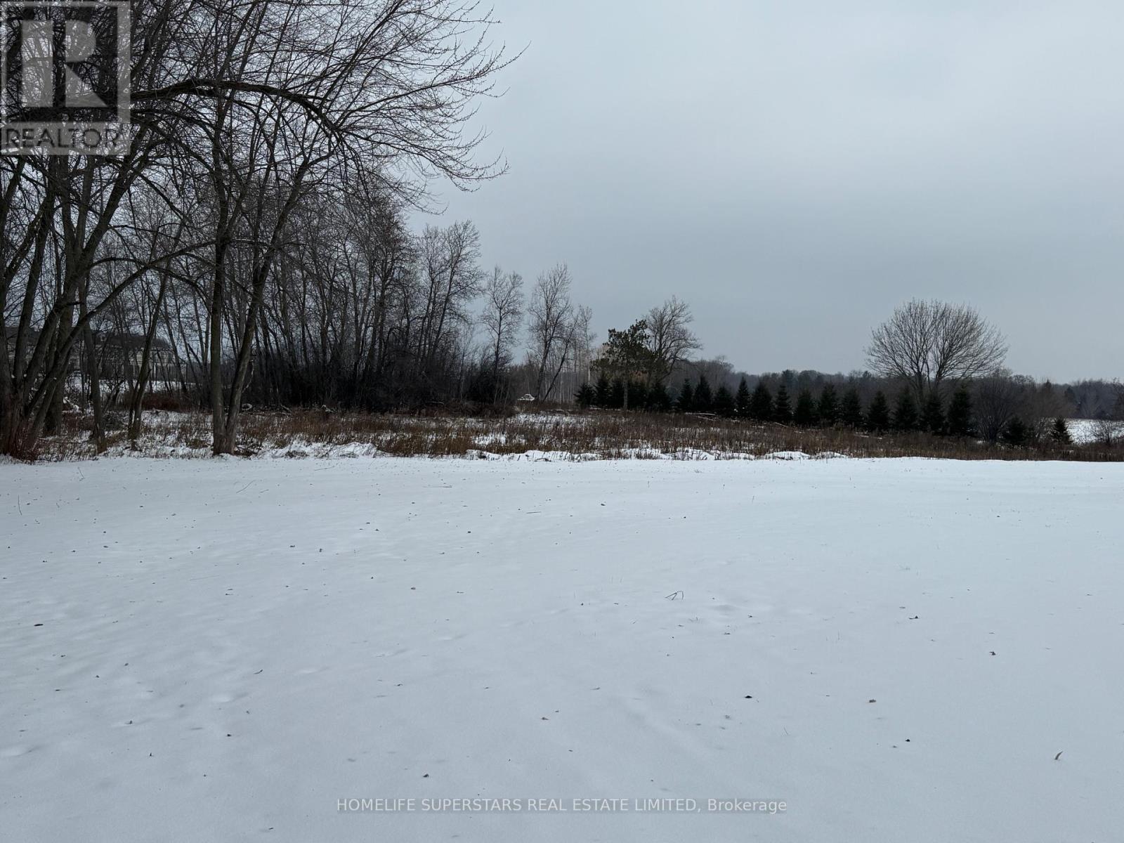 6764 Castlederg Side Road, Caledon, Ontario  L7C 0P3 - Photo 5 - W12631382