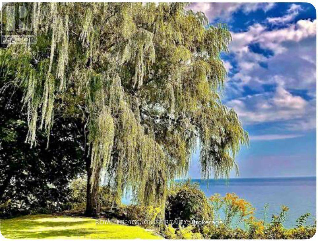 Bsmt - 63 Sylvan Avenue, Toronto, Ontario M1M 1J9 - Photo 23 - E12631448