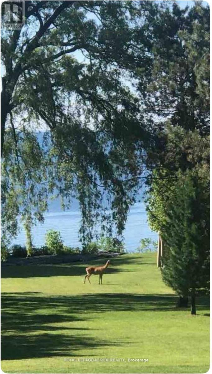 Bsmt - 63 Sylvan Avenue, Toronto, Ontario M1M 1J9 - Photo 29 - E12631448