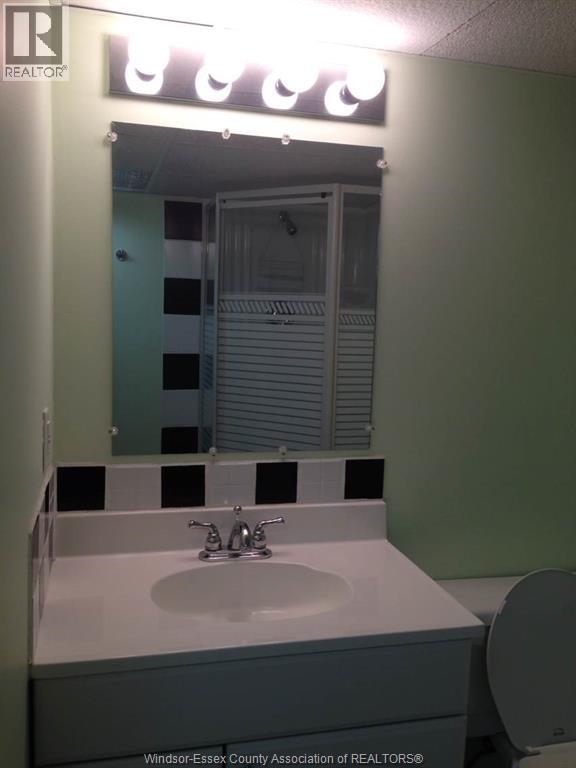3735 Glenwood, Windsor, Ontario N9E 2Y6 - Photo 32 - 25031646