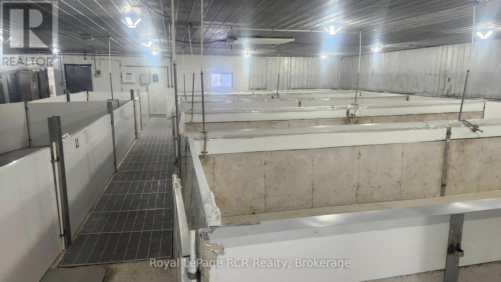 280354 Artemesia-Southgate Townline, Southgate, Ontario N0C 1L0 - Photo 4 - X12631520