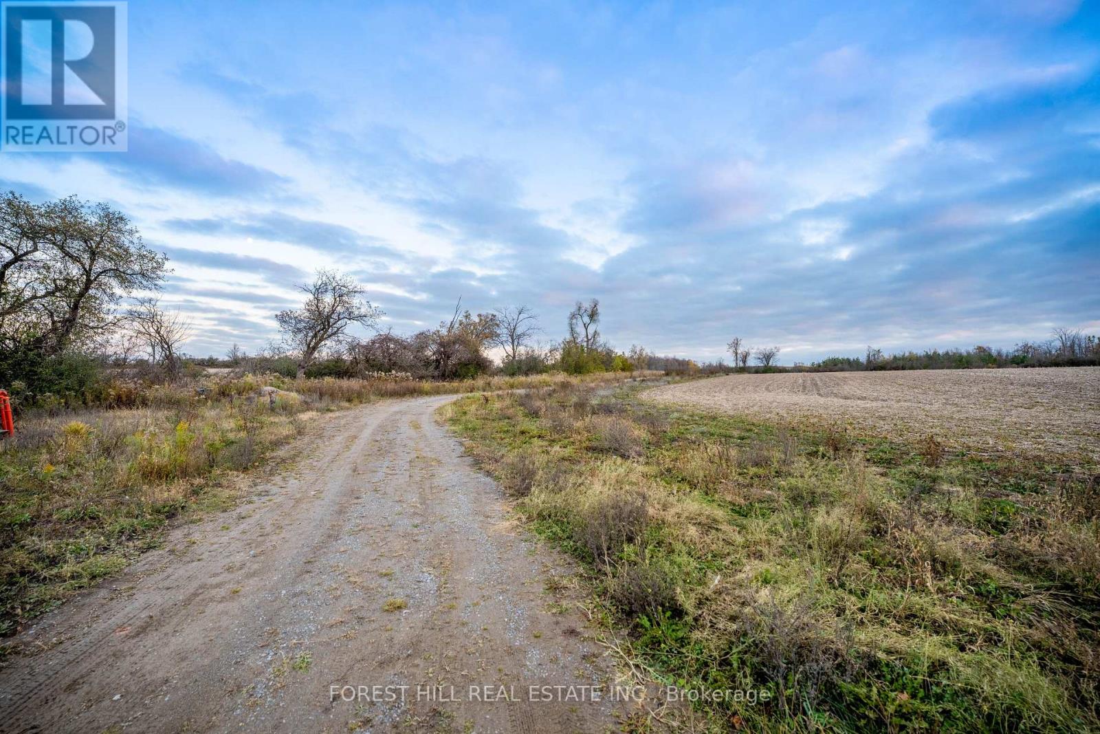 635 Wilson Line, Cavan Monaghan, Ontario  L0A 1C0 - Photo 36 - X12518636