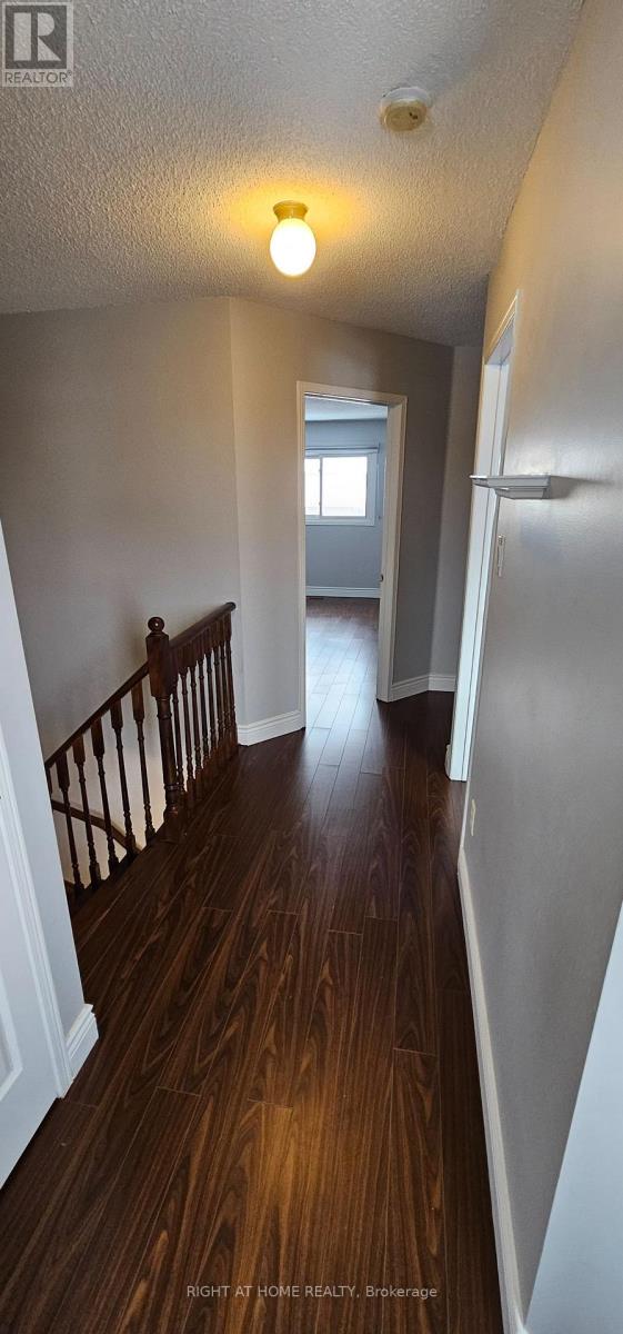 Main - 189 Timberlane Drive, Brampton, Ontario  L6Y 4V7 - Photo 10 - W12631548