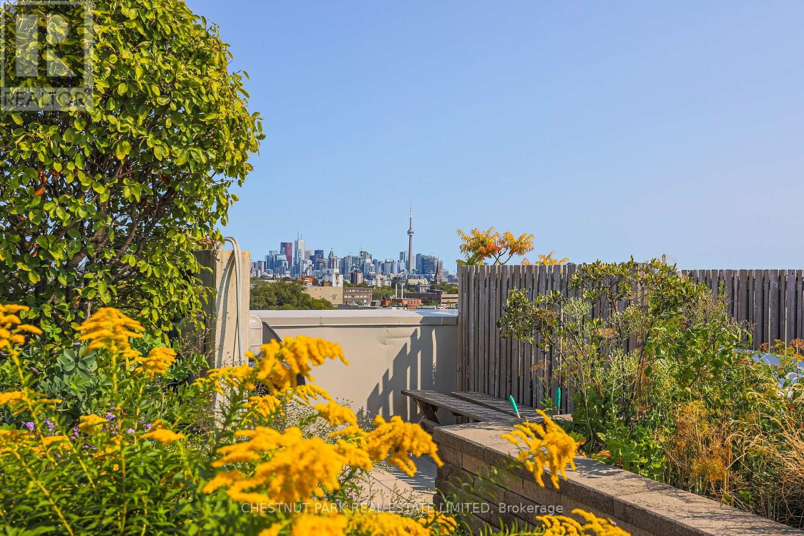 411 - 437 Roncesvalles Avenue, Toronto, Ontario  M6R 3B9 - Photo 34 - W12631640