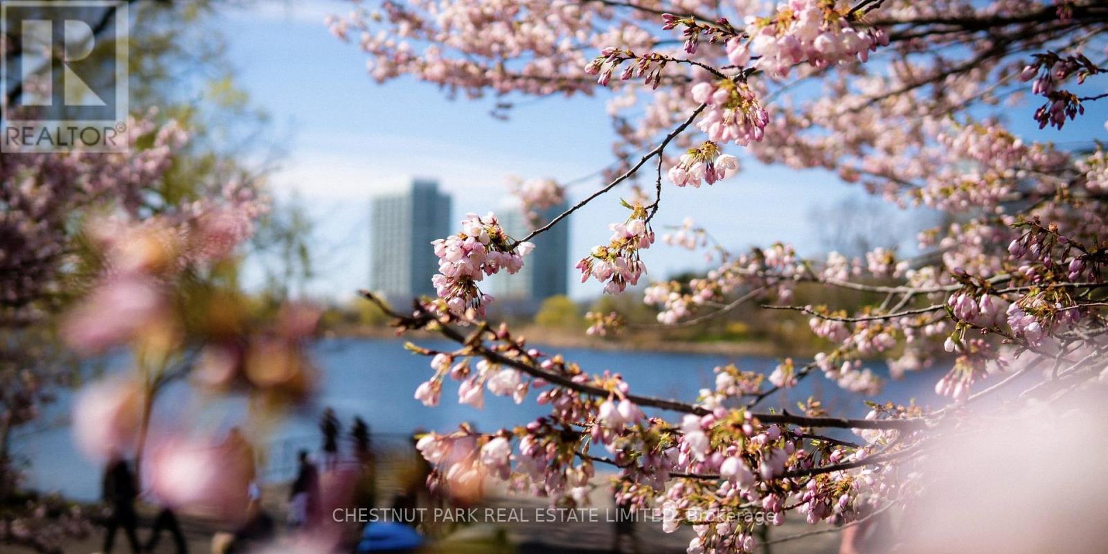 411 - 437 Roncesvalles Avenue, Toronto, Ontario  M6R 3B9 - Photo 49 - W12631640