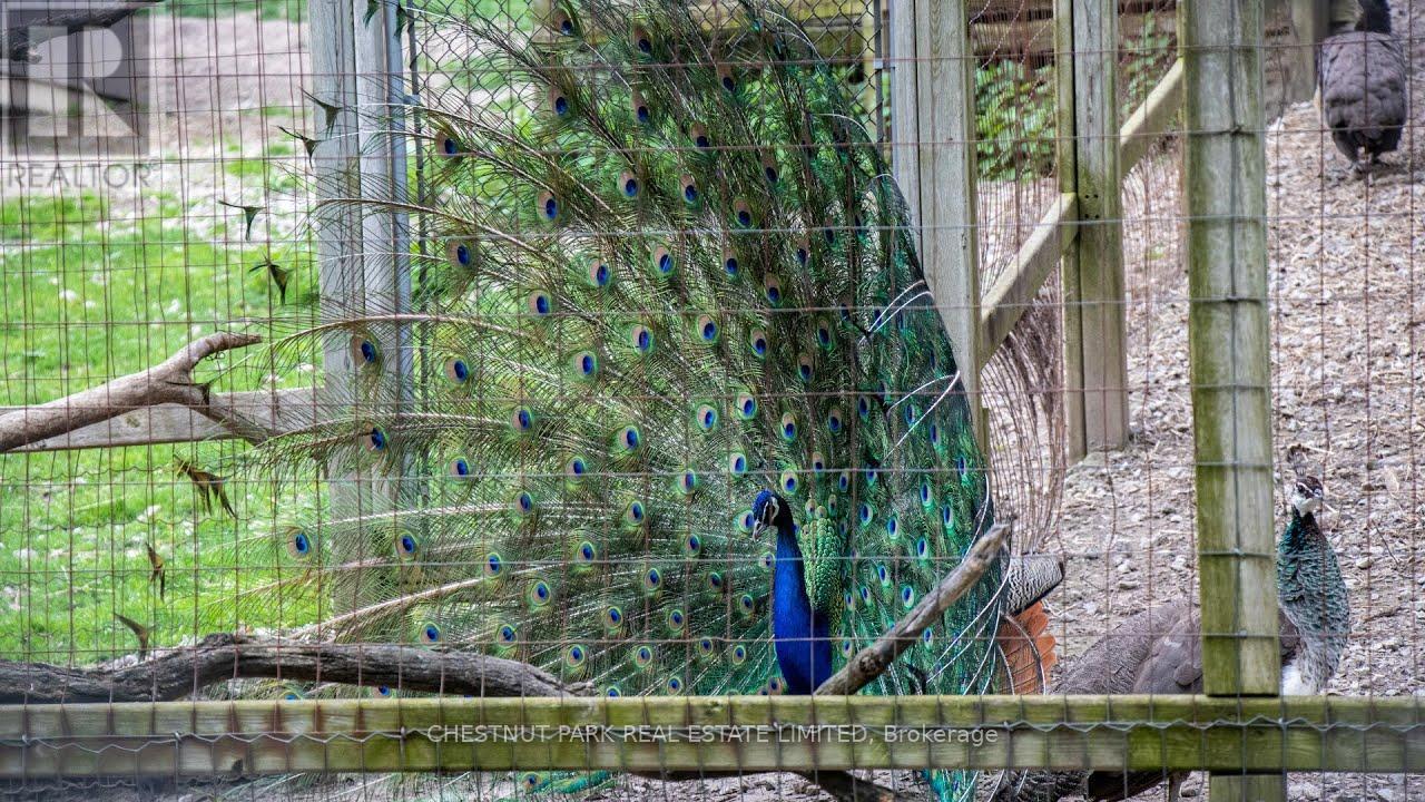 411 - 437 Roncesvalles Avenue, Toronto, Ontario  M6R 3B9 - Photo 50 - W12631640