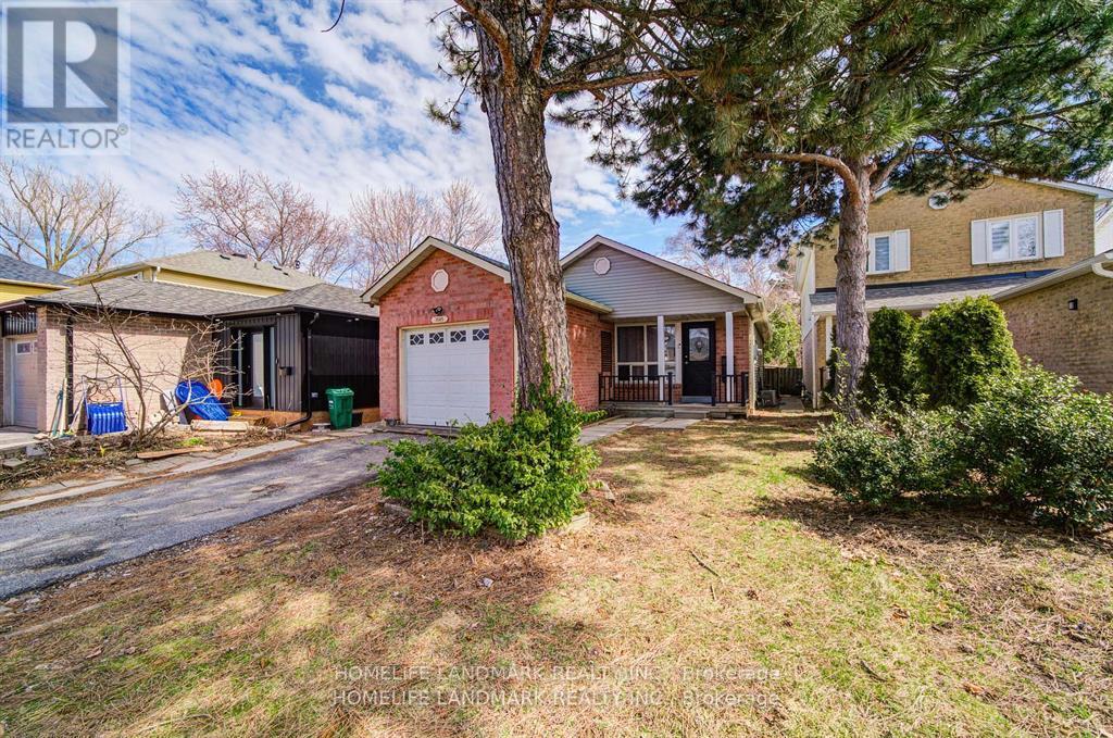 Basement - 3145 Cantelon Crescent, Mississauga, Ontario  L5N 3J7 - Photo 2 - W12631650