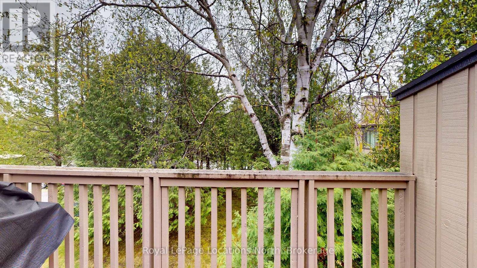 101 - 23 Dawson Drive, Collingwood, Ontario  L9Y 5B4 - Photo 9 - S12631656