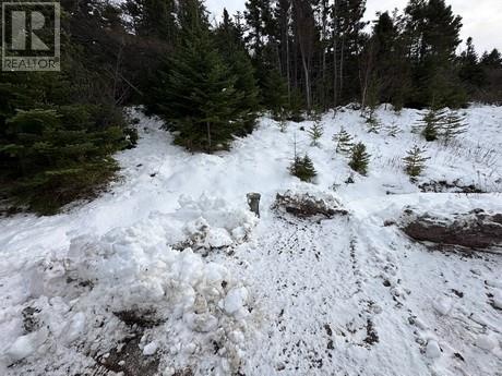 78 Main Road, New Chelsea, Newfoundland & Labrador   - Photo 11 - 1293221