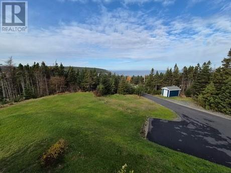 78 Main Road, New Chelsea, Newfoundland & Labrador   - Photo 45 - 1293221