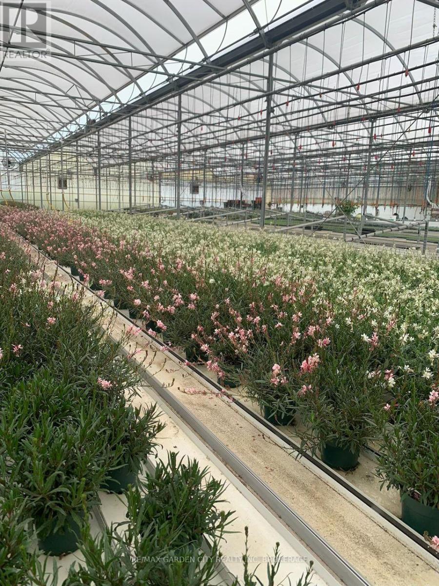 430 Concession 7 Road, Niagara-On-The-Lake, Ontario L0S 1S0 - Photo 6 - X12628910