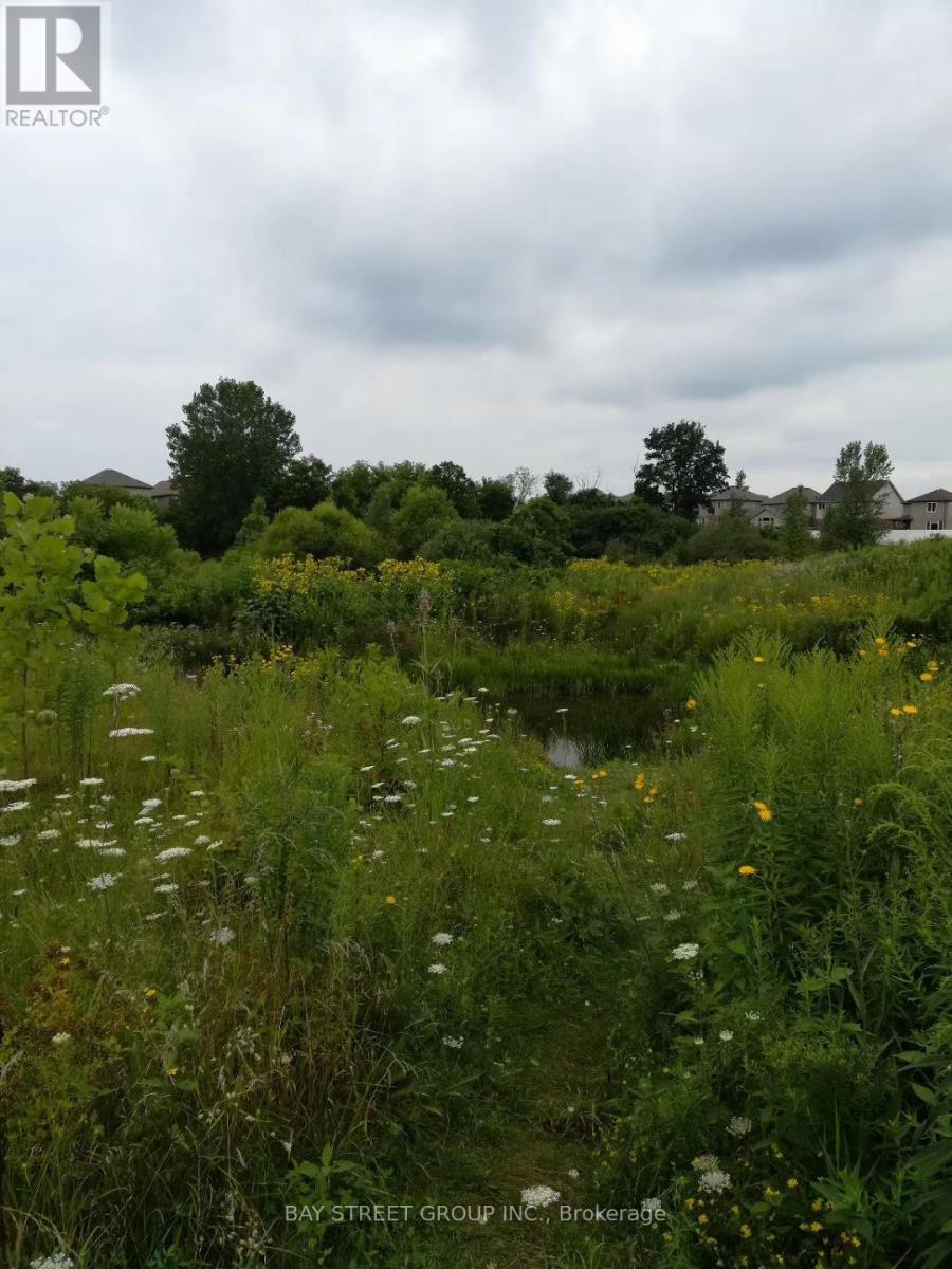 1451 Howlett Circle, London North, Ontario  N5X 0K5 - Photo 41 - X12571208