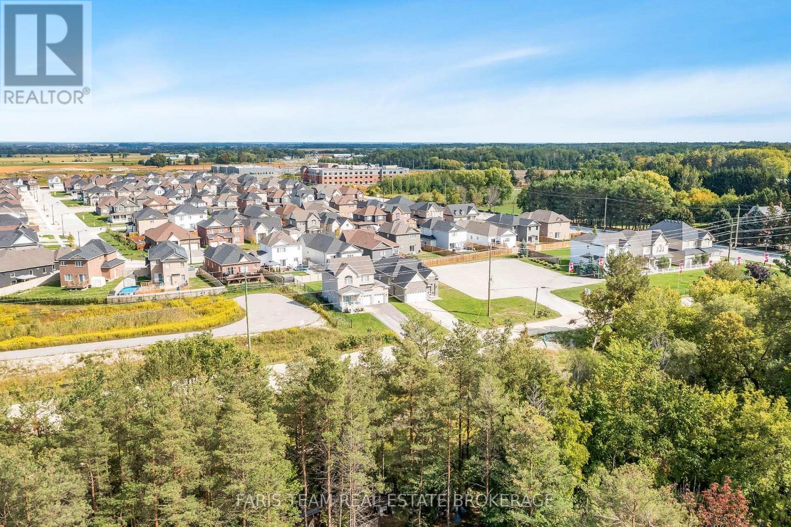 227 Mowat Street N, Clearview, Ontario  L0M 1S0 - Photo 38 - S12451248