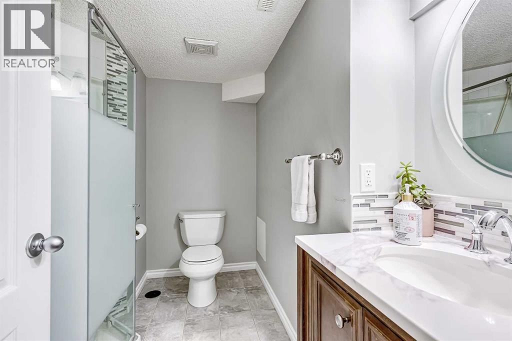 72 Saddleback Way Ne, Calgary, Alberta T3J 4K5 - Photo 19 - A2274065