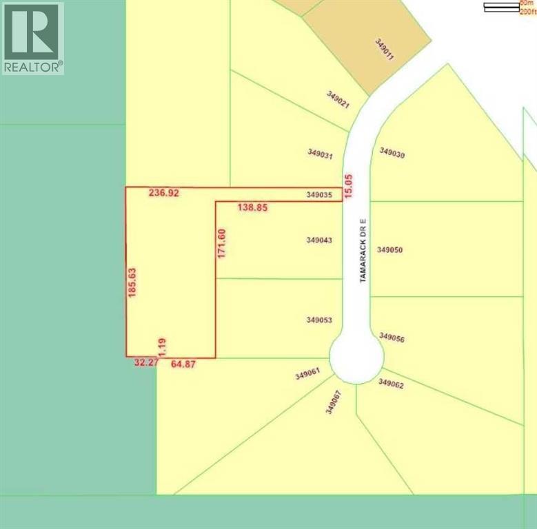 349035 Tamarack Drive E, Rural Foothills County, Alberta  T1S 5B8 - Photo 50 - A2272990