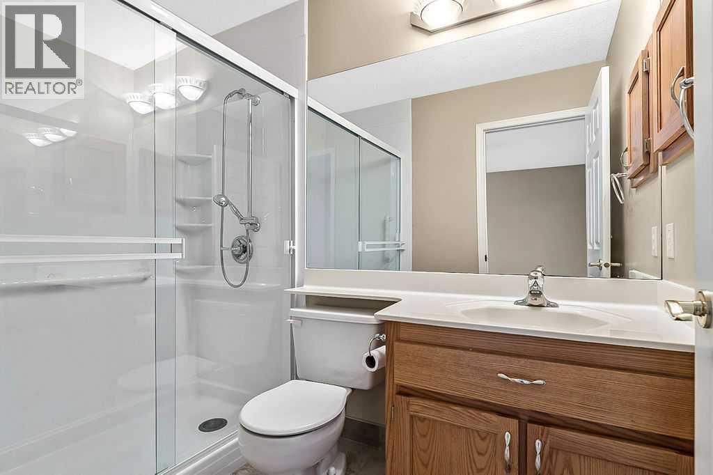 13 Sheep River Link, Okotoks, Alberta  T1S 1R3 - Photo 20 - A2273023