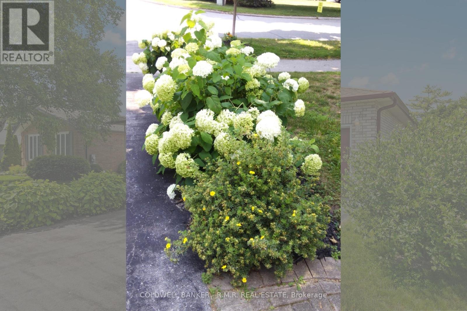 39 Ewen Drive, Uxbridge, Ontario  L9P 1L5 - Photo 41 - N12381192