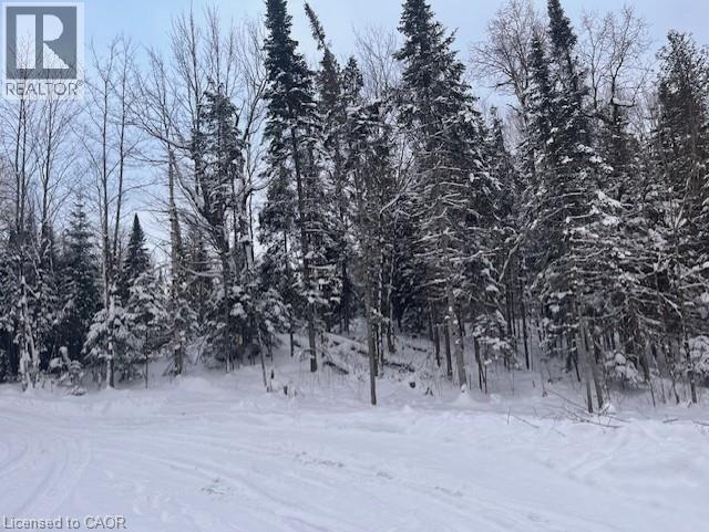 12407 Country Road 503, Tory Hill, Ontario  K0L 2Y0 - Photo 36 - 40781535