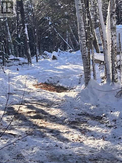 12407 Country Road 503, Tory Hill, Ontario  K0L 2Y0 - Photo 34 - 40781535