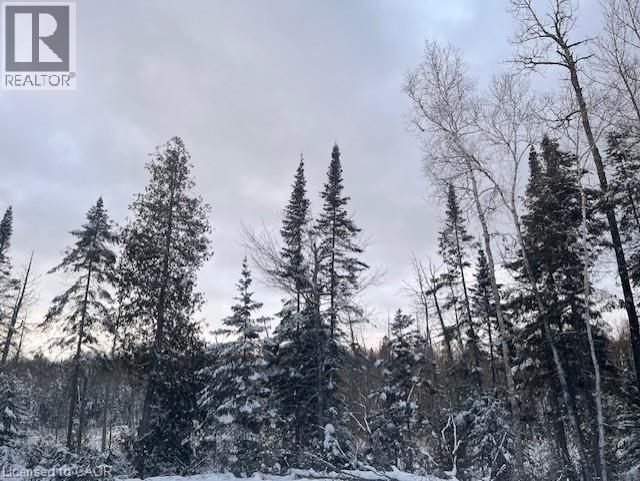 12407 Country Road 503, Tory Hill, Ontario  K0L 2Y0 - Photo 37 - 40781535