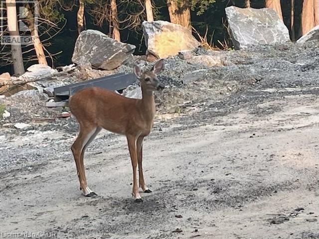 12407 Country Road 503, Tory Hill, Ontario  K0L 2Y0 - Photo 49 - 40781535