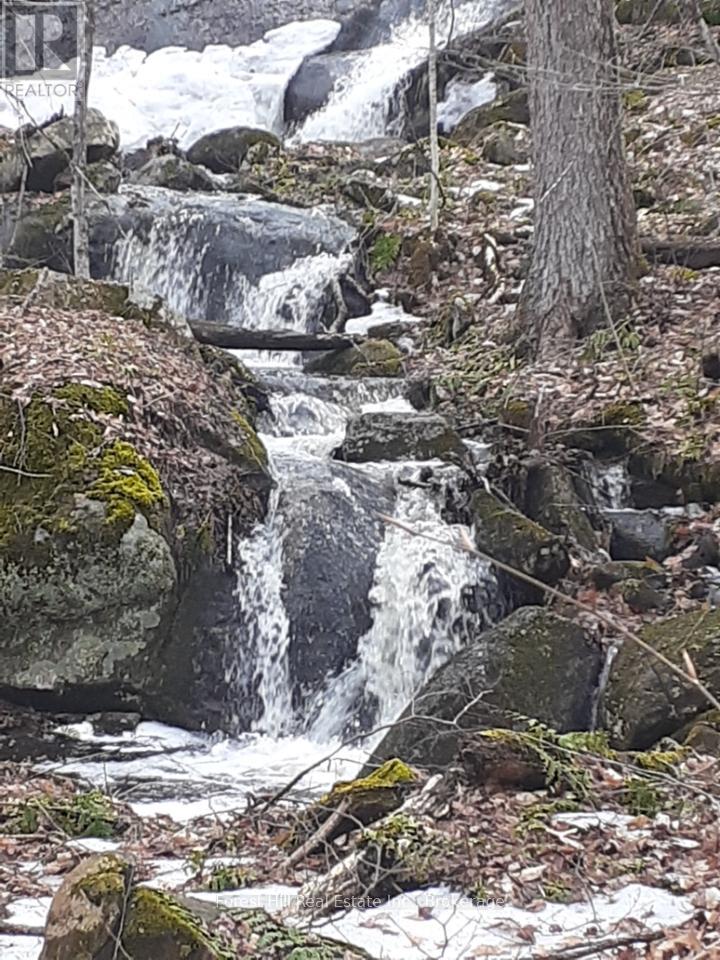 1474 Etwell Road, Huntsville, Ontario  P1H 2J2 - Photo 44 - X12438715