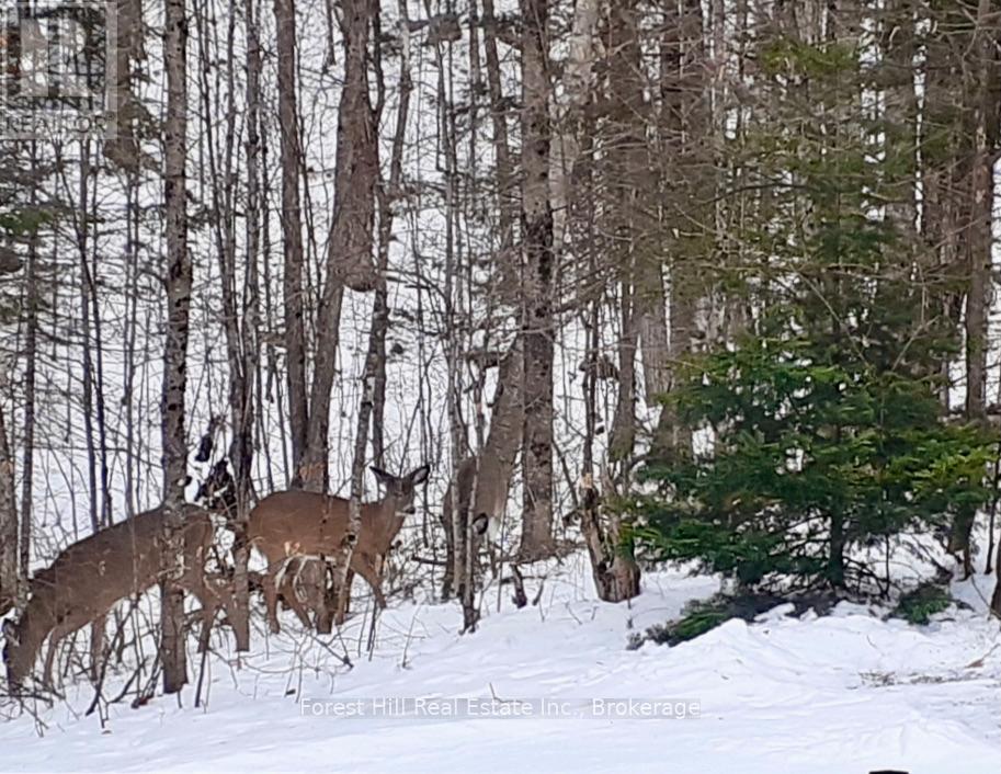 1474 Etwell Road, Huntsville, Ontario  P1H 2J2 - Photo 45 - X12438715