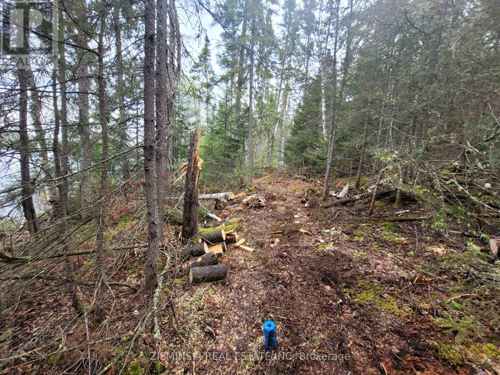 24217 Parcel, Timiskaming, Ontario P0K 1M0 - Photo 9 - T12632350