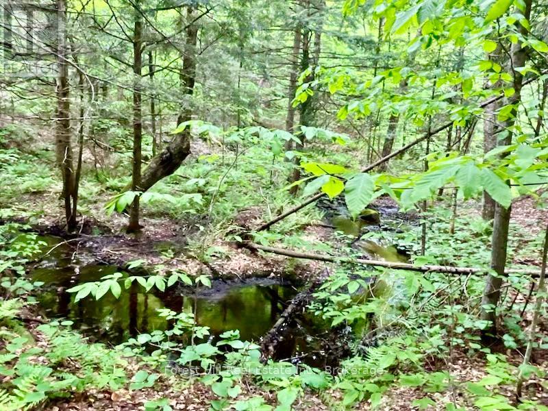 1474 Etwell Road, Huntsville, Ontario  P1H 2J2 - Photo 43 - X12438715