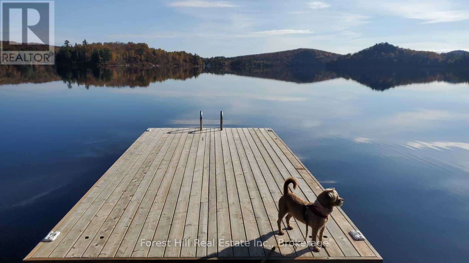 1474 Etwell Road, Huntsville, Ontario  P1H 2J2 - Photo 50 - X12438715