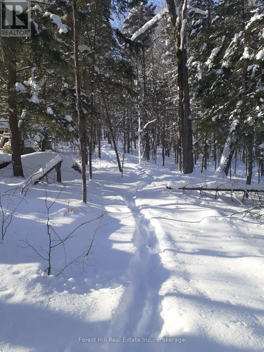 1474 Etwell Road, Huntsville, Ontario  P1H 2J2 - Photo 6 - X12438715