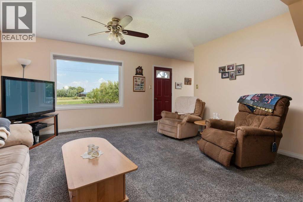 307 Manning Avenue, Heisler, Alberta T0B 2A0 - Photo 10 - A2253670