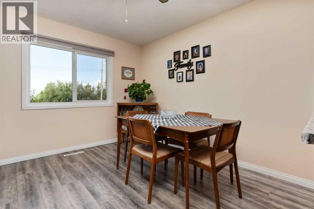 307 Manning Avenue, Heisler, Alberta T0B 2A0 - Photo 7 - A2253670